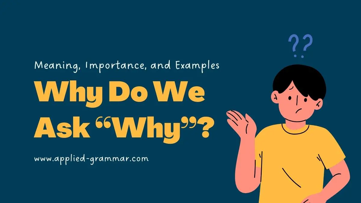 Why Do We Ask “Why”