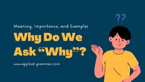 Why Do We Ask “Why”? Meaning, Importance, and Why Questions Examples